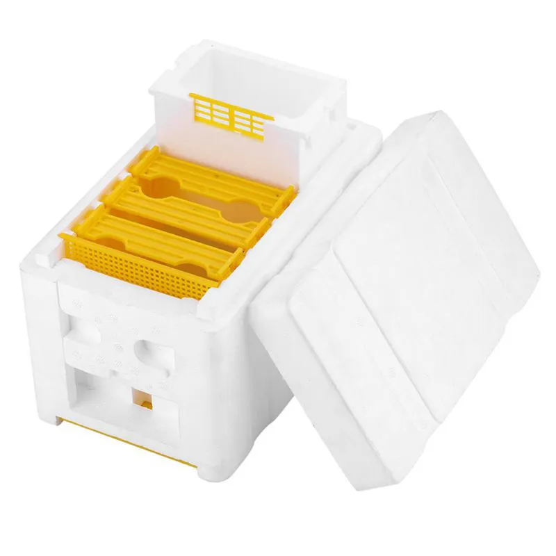 Abeille Ruche Apiculture King Box Boîte de pollinisation Cadres en mousse Kit d'outils apicoles