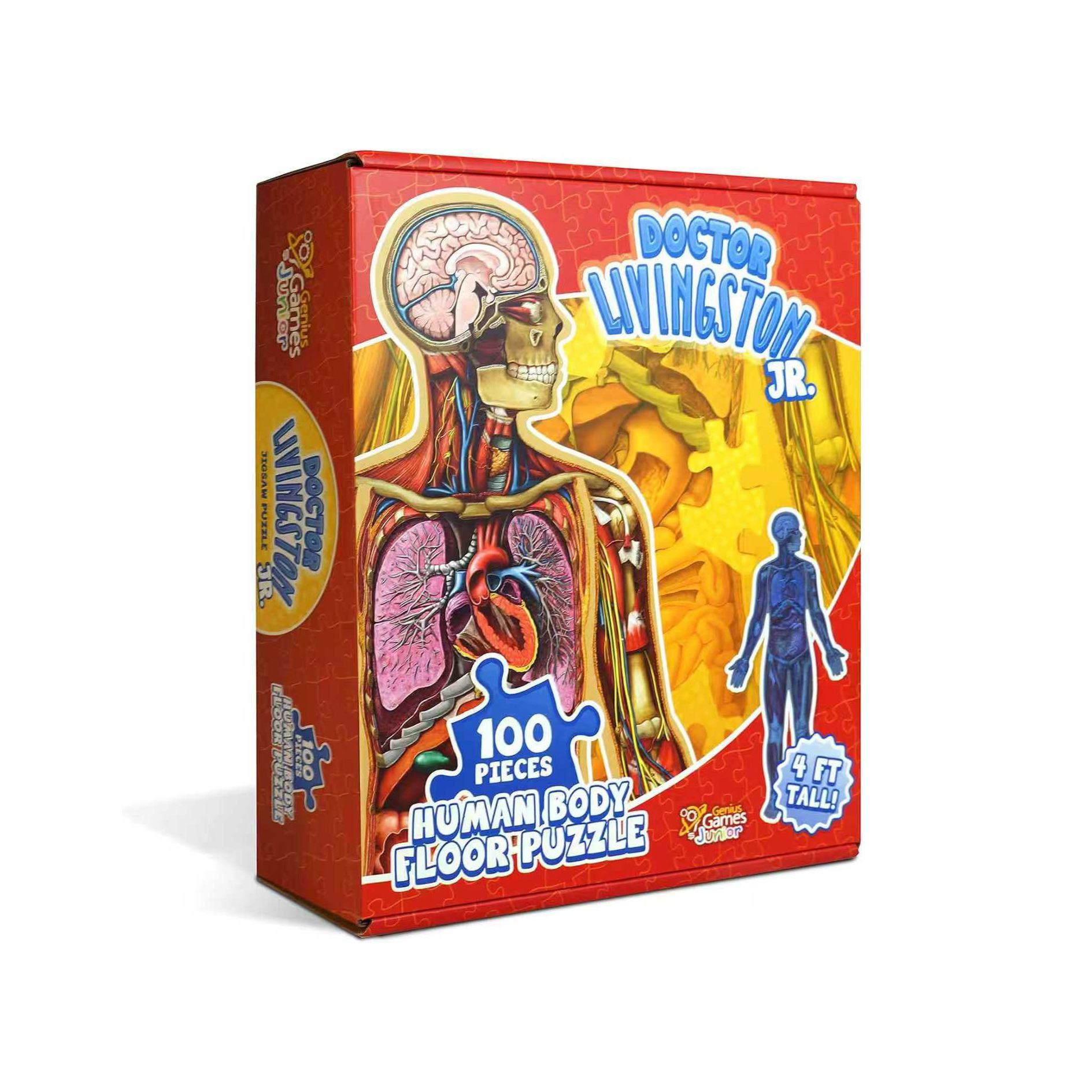 Anatomy puzzle