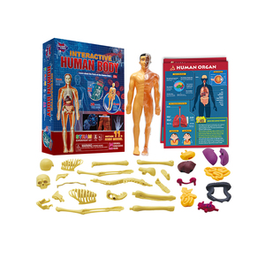 3 डी पूर्ण शरीर शरीर रचना मॉडल शैक्षिक मोंटेसरी पहेली बच्चों और किशोरों के लिए विज्ञान किट विज्ञान और इंजीनियरिंग खिलौने - Product Image 1