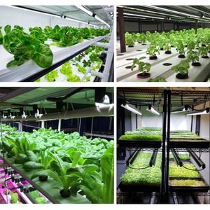 Hydroponic 商业温室灯泡农场蔬菜 lampara uvb 爬行动物荧光灯具