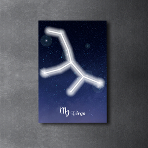 定制3D霓虹灯发光二极管标志墙海报十二星座动画家居酒吧户外生日派对商场电子标志