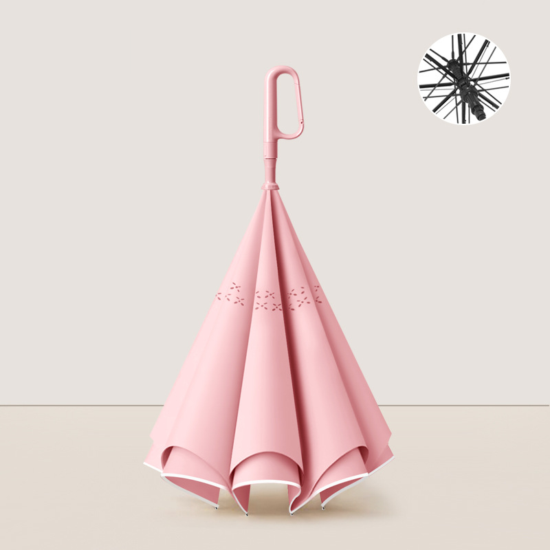 rose corail