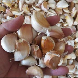 Fabrika doğrudan satış ticari endüstriyel knoblauch soyma ve ayırma makinesi sarımsak karanfil ayırıcı komisyoncu makinesi - Product Image 3