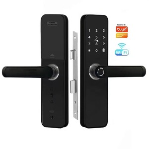 Tuya Smart Lock produttore senza chiave telecomando Wifi Fingerprint Lock per porte in acciaio legno Memory Card di archiviazione dati