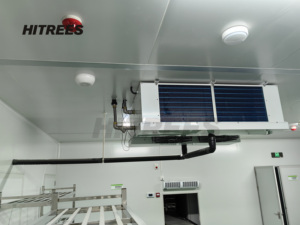 Fruit Quick Freezer with Cold Storage and <strong>Blast</strong> Freezing - Product Image 5