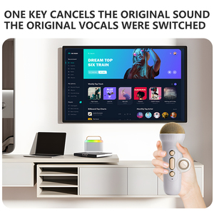 Y3ダブルウィートポータブルBluetoothスピーカーマイクセット、ホームカラオケマシン付きのカラフルなライトBluetoothスピーカー - Product Image 4