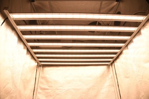 DLC ETL listelenen en güçlü yüksek PPFD DIY çadır büyüyen 720w led büyümek ışık Hortibloom - Product Image 4