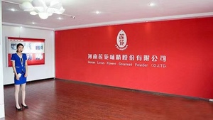 ผงชูรสผงชูรสผงชูรสเกลือจีน,ผงชูรสตาข่าย20/30/40/60/80 - Product Image 2