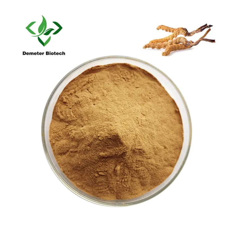 Extracto en polvo Soluble en agua, Cordyceps Sinensis, Yarsagumba