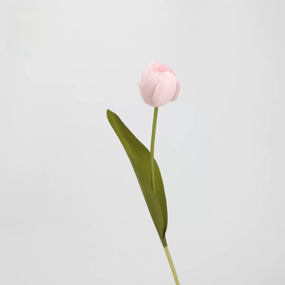 Keer Tulipe (rose)