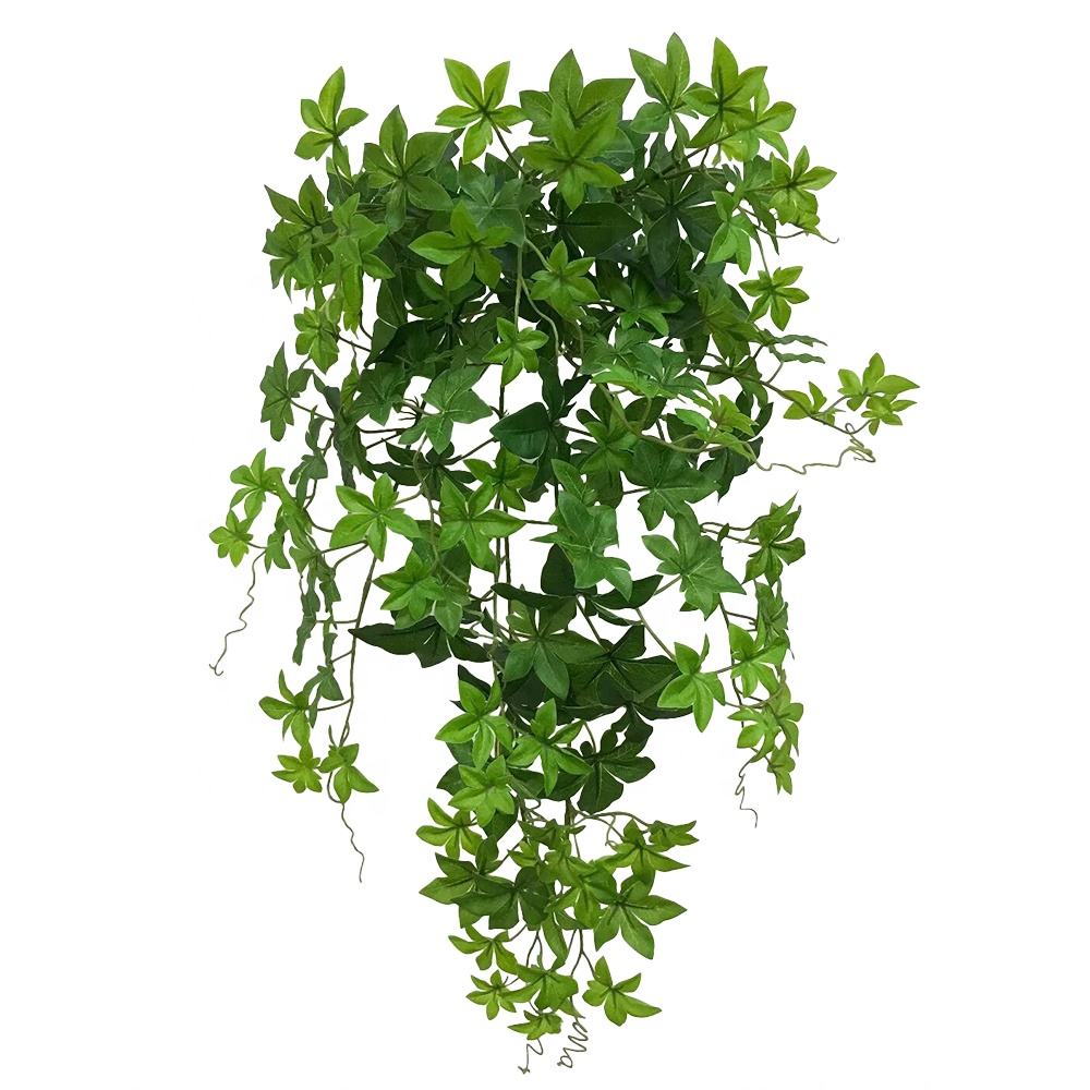 Trompette feuille verte