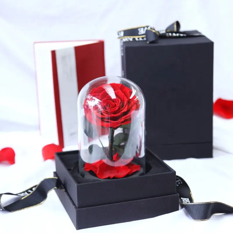 Декоративные стеклянные банки, стеклянная Роза, купол, прессованный, консервированный, сухая Роза, Подарок на годовщину, День матери