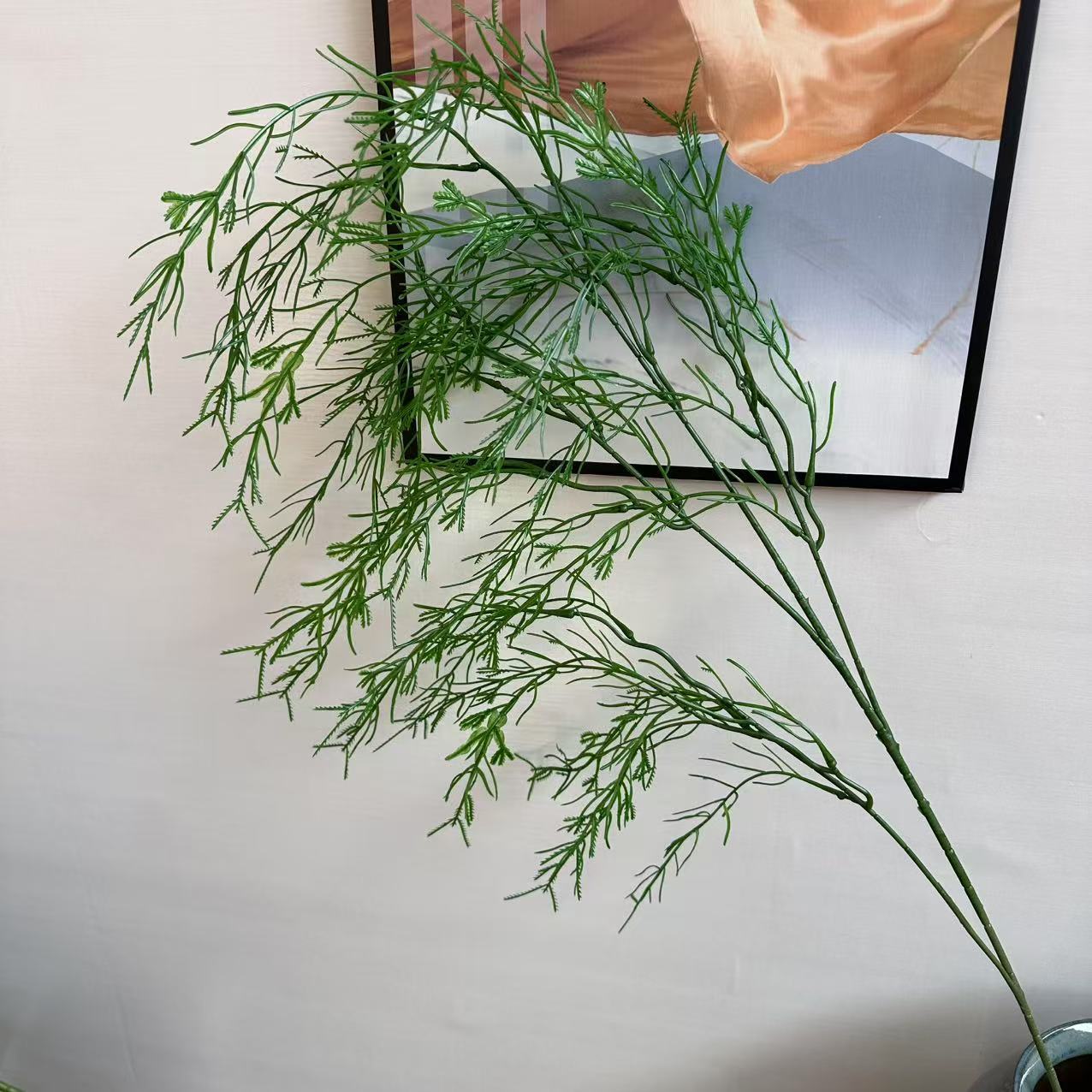 Herbe d'asperge verte