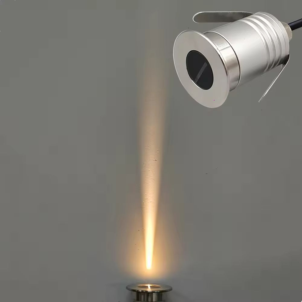 Coquille argentée-WW