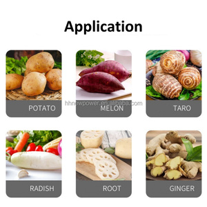 Otomatik ticari elma Turnips cips kesme dilimleme makinesi otomatik endüstriyel elma dilim kesici dilimleme ekipmanları - Product Image 2