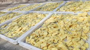 Linea di produzione smerigliatrice curcuma per lavorazione di verdure in salamoia