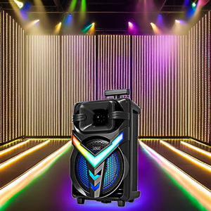 OEM 8 pulgadas Mini portátil DJ sonido Karaoke altavoces activo al aire libre RGB luces carro DC Power BT Mic Twin Wireless System (TWS) - Product Image 2