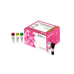 Bioer BSC80 Biospin toplam RNA ekstraksiyon kiti II Dna ekstraksiyon Test kiti - Product Image 1