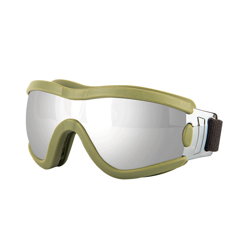 Lunettes pour animaux de compagnie - monture verte, verres argentés