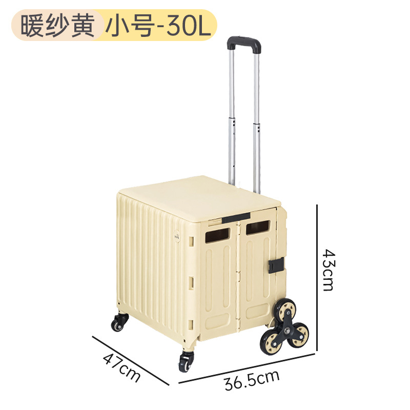 30L Petit Format en Satin Jaune