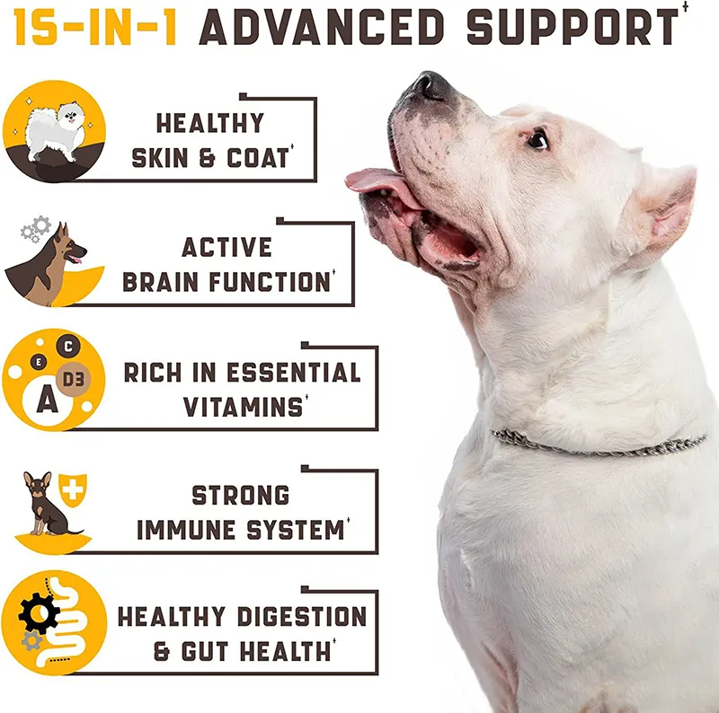 OEM/ODM Supplément multivitaminé 15-en-1 et vitamines à mâcher Supports immunisés articulaires Vitamines pour chiens de compagnie