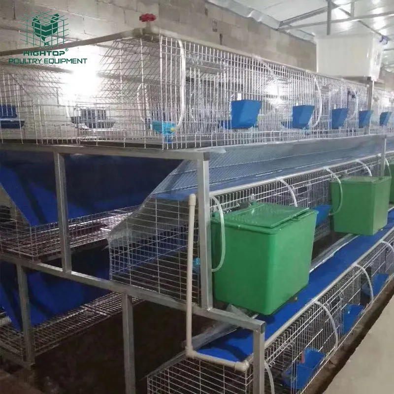 hot sale welded wire mesh metal rabbit battery cage for sale in uganda