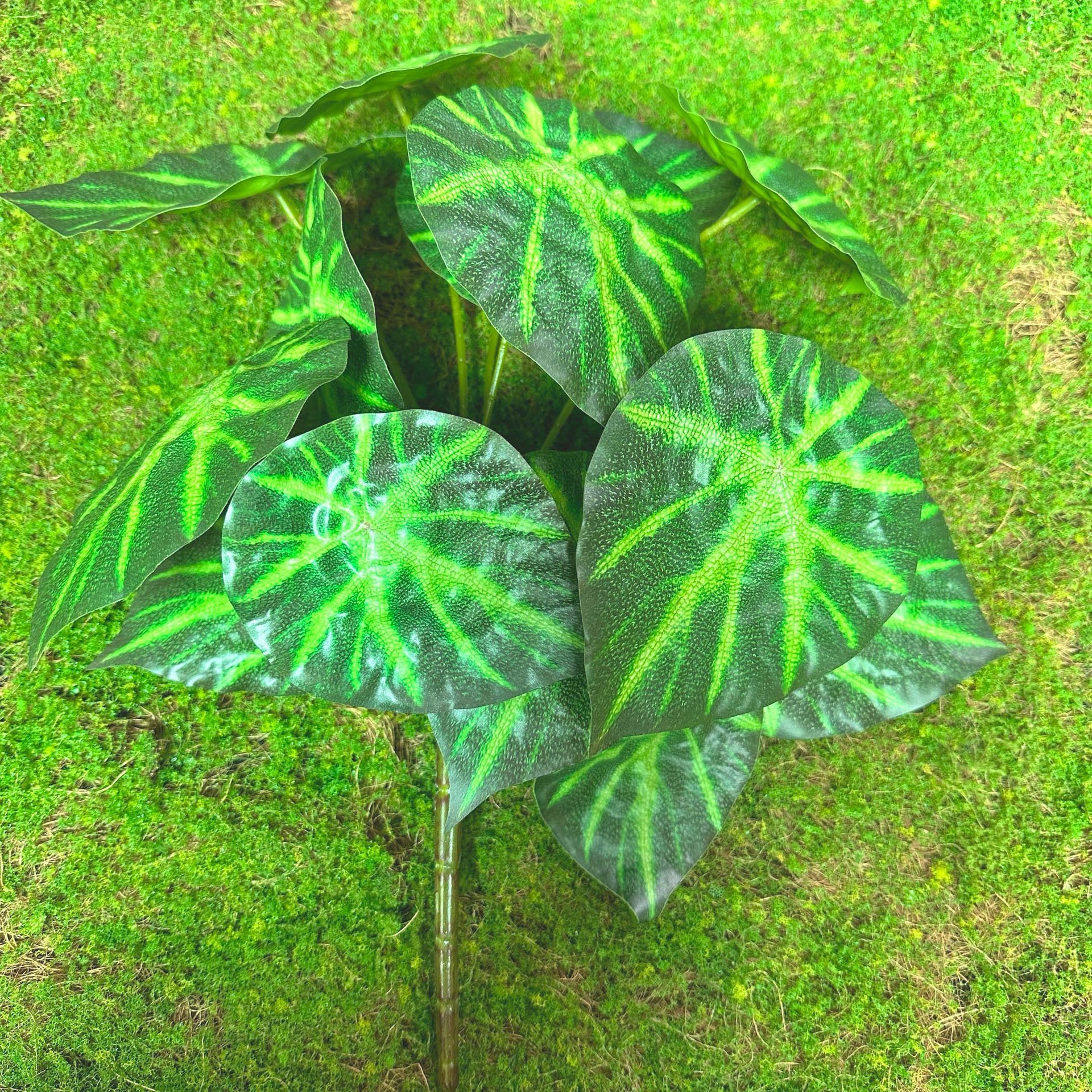 Green 11#