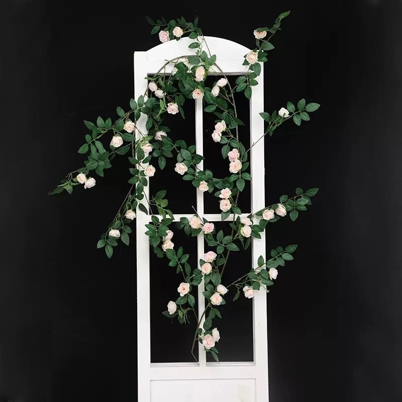 Rose coréenne - Champagne