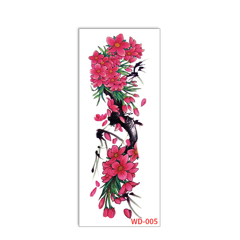 Wd-005 - 170x480mm