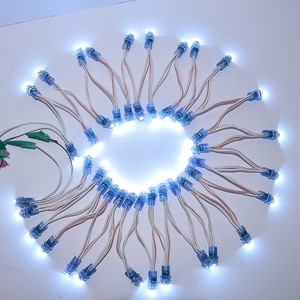 LED-Pixel modul licht für den Außenbereich einfarbiges LED-Pixel ws2811 0,2 W 12V LED-Pixel Punkt licht - Product Image 1