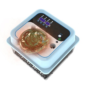 JIATAI couveuse oeuf automatique yumurta kuluçka otomatik 12 yumurta kuluçka çift güç - Product Image 4