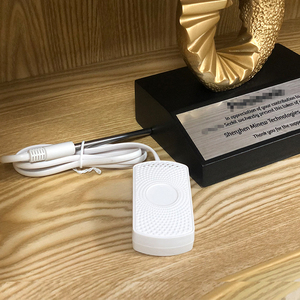 Minew S1 Sensores de temperatura y humedad Smart IoT Greenhouse Registrador de datos de temperatura inalámbrico con sonda - Product Image 5