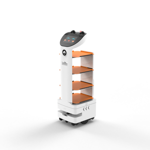 D2 ITR Customizable Reception <strong>Robot</strong> Multi-Function Welcome <strong>Robot</strong> for <strong>Branding</strong> and Advertising for Event Hosting Commercial Use - Product Image 1