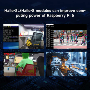 Raspberry Pi 5 Hailo 8L Hailo-8 Hailo-8L 13T 26T Erweiterungs karte PCIe-Erweiterungs modul AI KIT Kit für künstliche Intelligenz