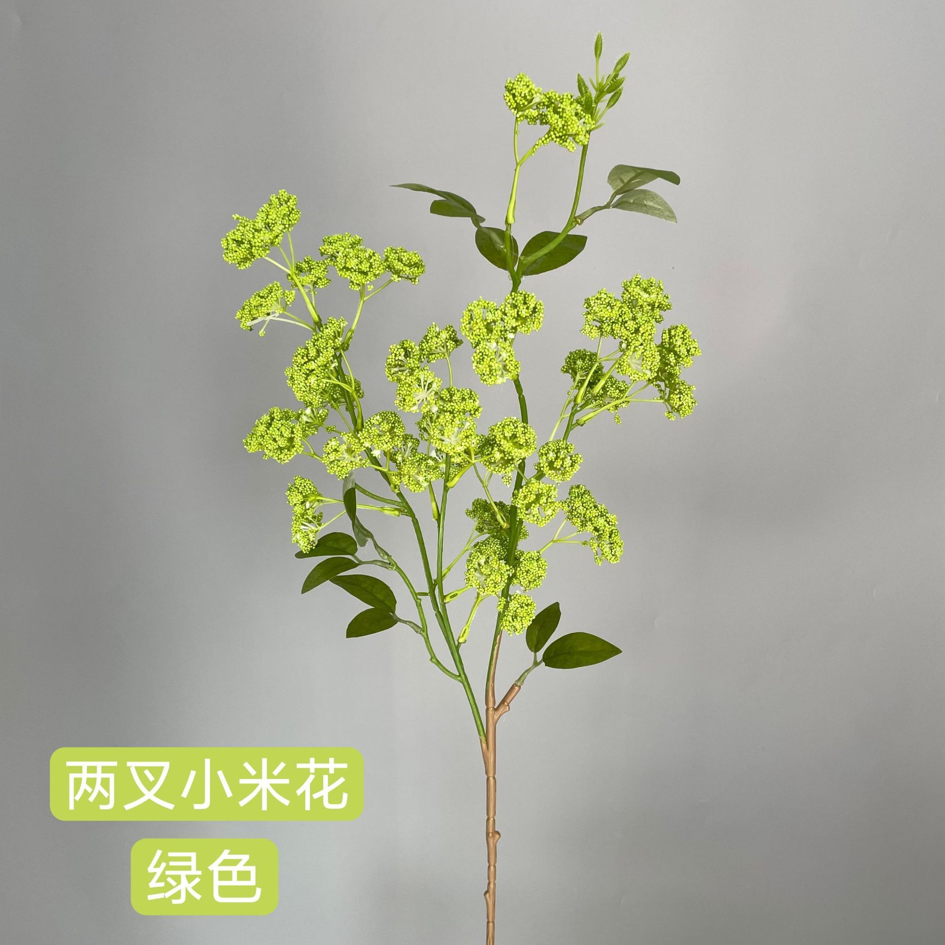 vert