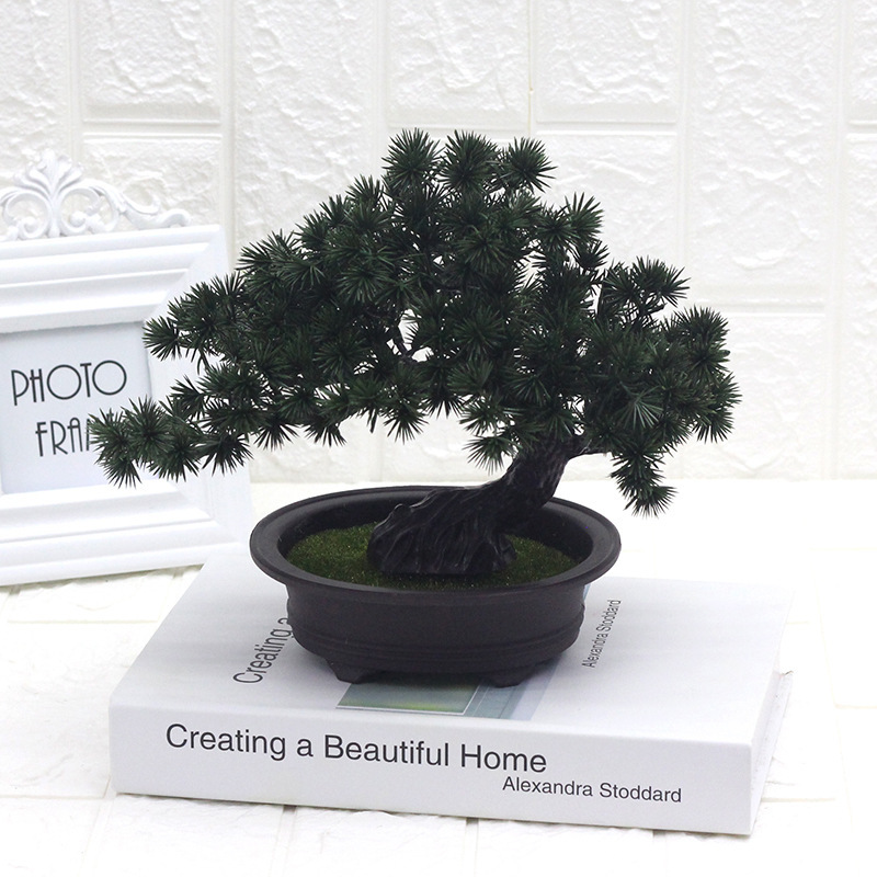 Bonsai di pino di benvenuto verde scuro