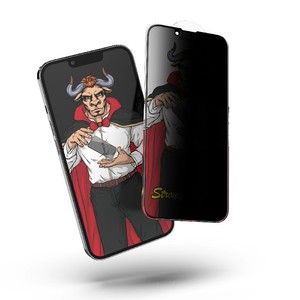 Anti-SPY Privacy Filter Mounting Removable Privacy Screen Protector for Laptop 15.6 Inch Laptop Privacy Screen Protector