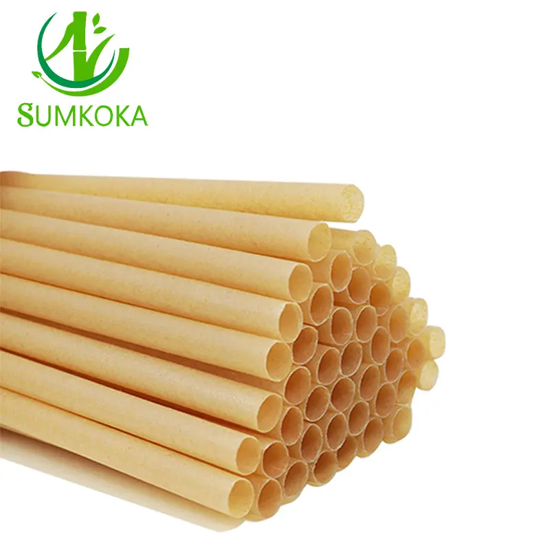 SUMKOKA PFAS Free Natural 100% Biodégradable Café Jus Bubble Tea Sugarcane Bagasse Pailles à boire