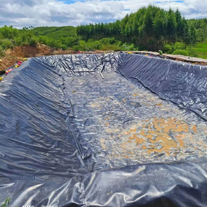 <strong>HDPE</strong> Geomembrane Price Dam Liner Geomembrane <strong>Hdpe</strong> 1.5mm - Product Image 2