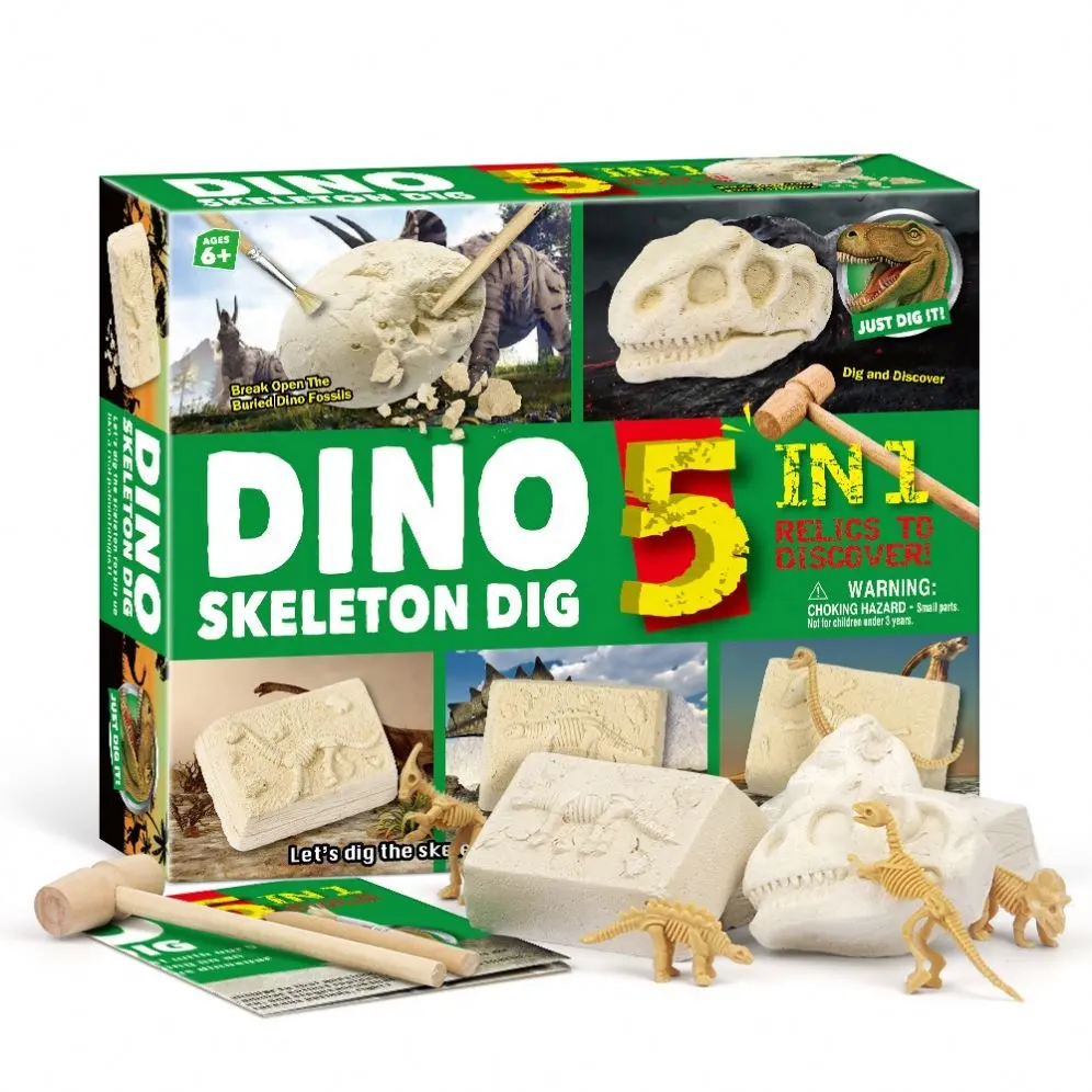 Mainan Gali Stock anak 5 in 1, Set mainan tulang dinosaurus fosil menggali Kit pembuangan tulang dinosaurus 3D