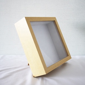 Diy bitki örneği ekran kare 2 inç derin gölge kutu çerçevesi beyaz siyah 4 çerçeve renk 10x10 gölge kutu çerçevesi - Product Image 4