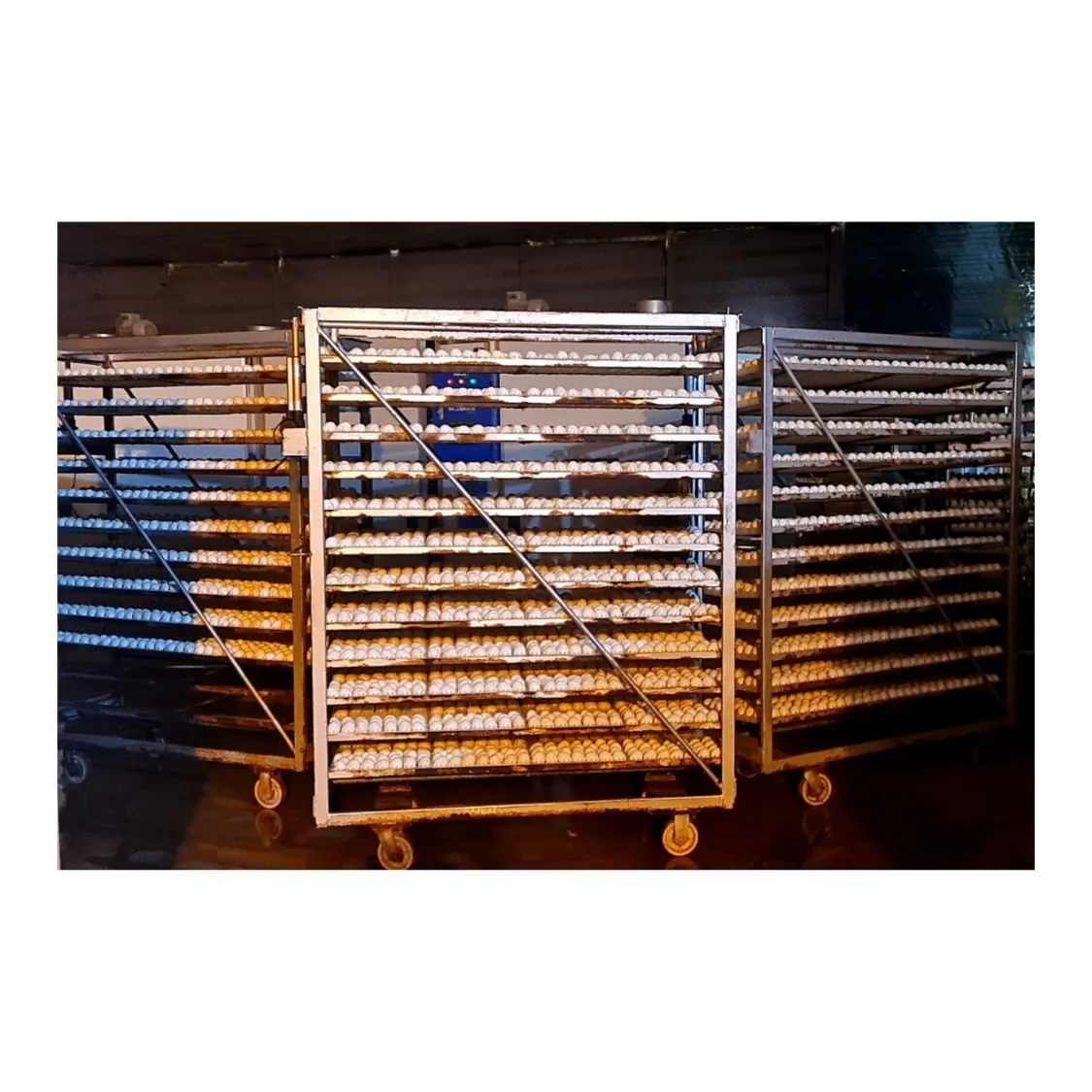 Contrôleur de température automatique d'incubateur d'oeufs d'armoire industrielle pour la ferme de volaille de canard fabriquée au Vietnam fabricant