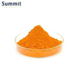 ที่มีคุณภาพสูงสารสกัดจากขมิ้น Curcuma Longa สารสกัดจาก95% ขมิ้นชันผง - Product Image 3