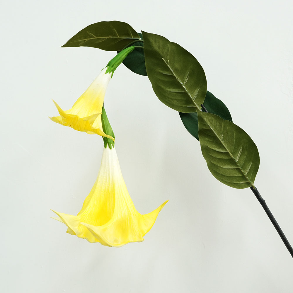 Amarillo Blanco