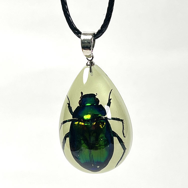 Bellissimo scarabeo cinese