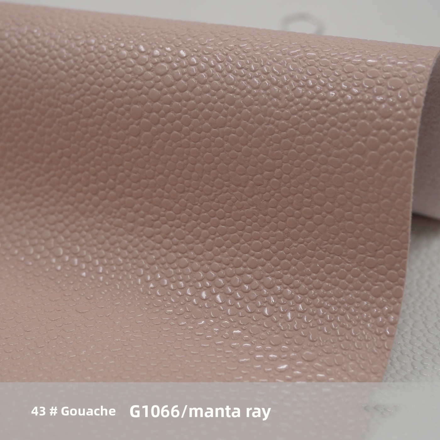 43 light powder-code