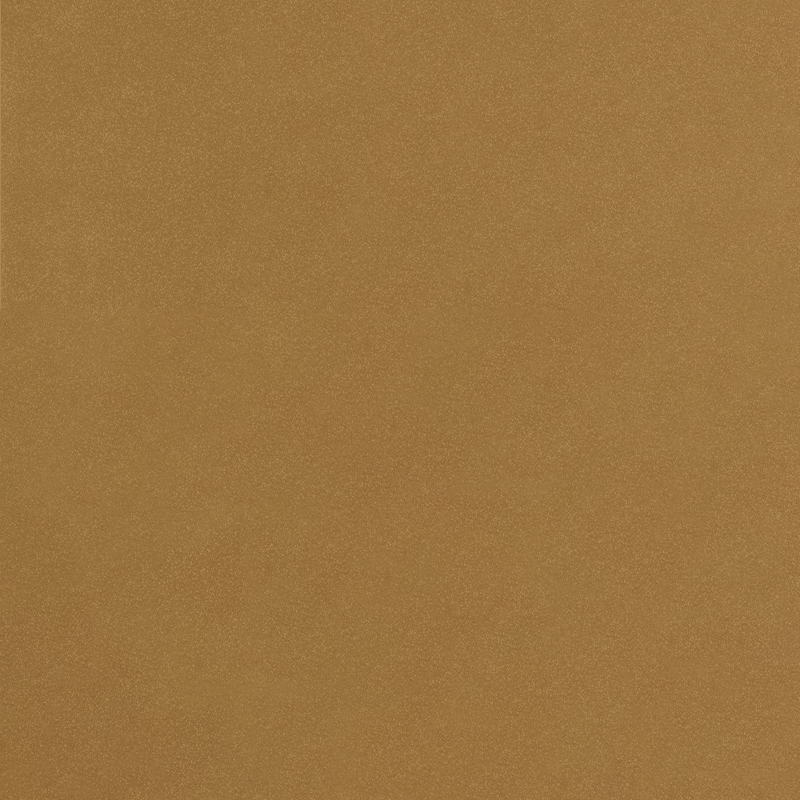 Pure color 3641 Titanium Gold