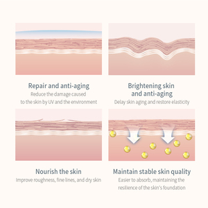 ตลับหมึกพิมพ์สองด้านปราศจากน้ำปราศจากผลึกขนาดเล็กมีเอกลักษณ์เฉพาะสำหรับการหมักแบบ bifida - Product Image 4