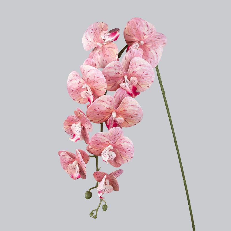 PU 9 Orichid-rose pêche