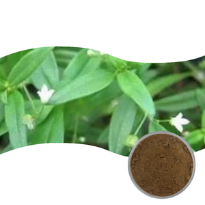 100% чистый пищевой экстракт Oldenlandia Diffusa порошок травяной экстракт в барабанной упаковке - Product Image 1